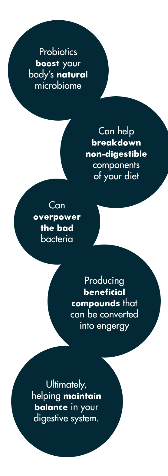 How Probiotics Work